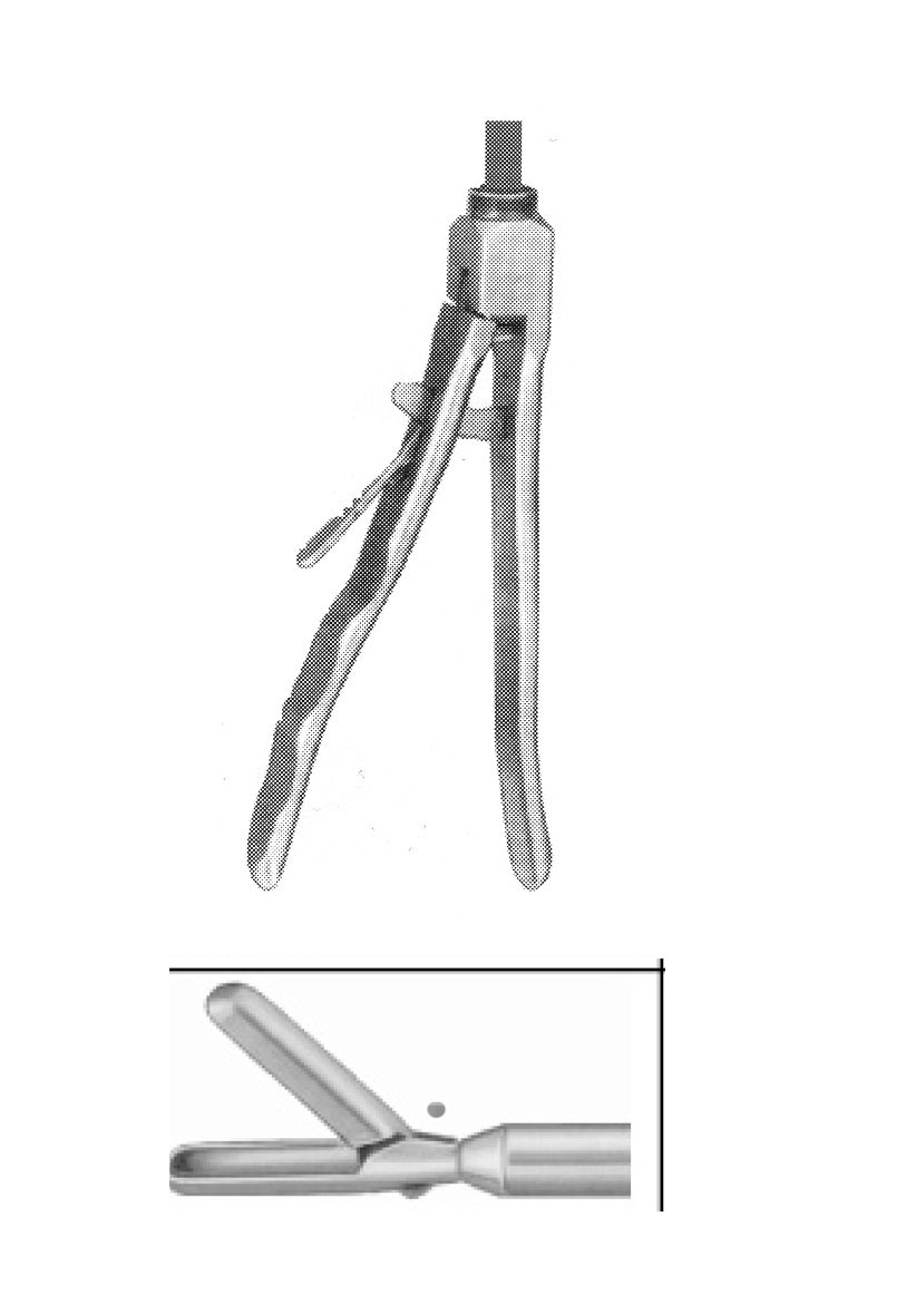 LARGE BİYOPSİ FORSEPS ÇAP  10 MM